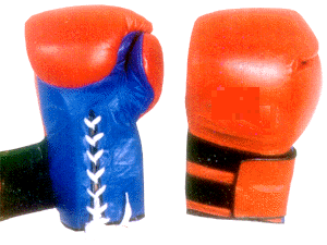 antique boxing gloves