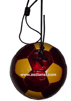 bungee soccer trainer