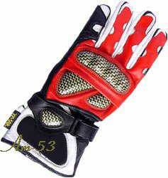 motorbike glove